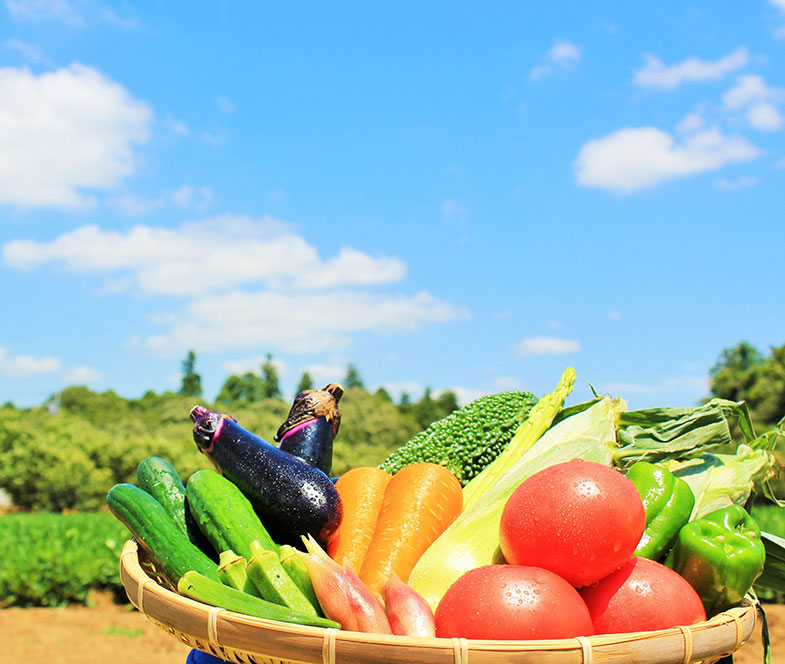 岩渕農薬は農業育成に尽力し、日本の食文化の一翼に奉仕して参ります