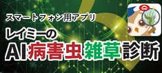 レイミーのAI病害虫雑草診断